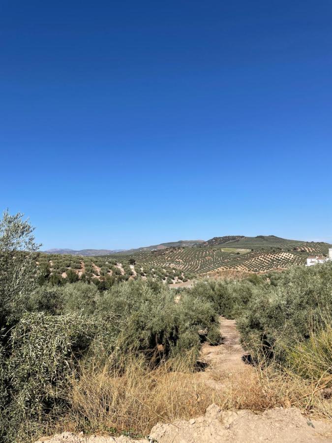 Lafrenchtouch - Relajate Y Desconecta Al Pueblo Villanueva de Tapia Exterior foto